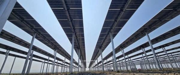 재생에너지로 각광 받고 있는 영농형 태양광 (사진=파루솔라)