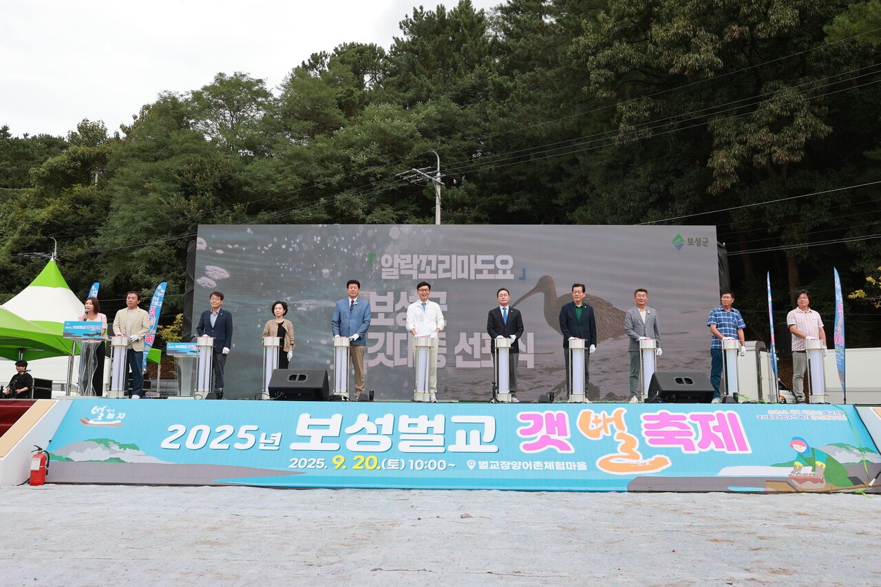 보성벌교갯벌축제 '알락꼬리마도요' 깃대종 지정 (사진=보성군)