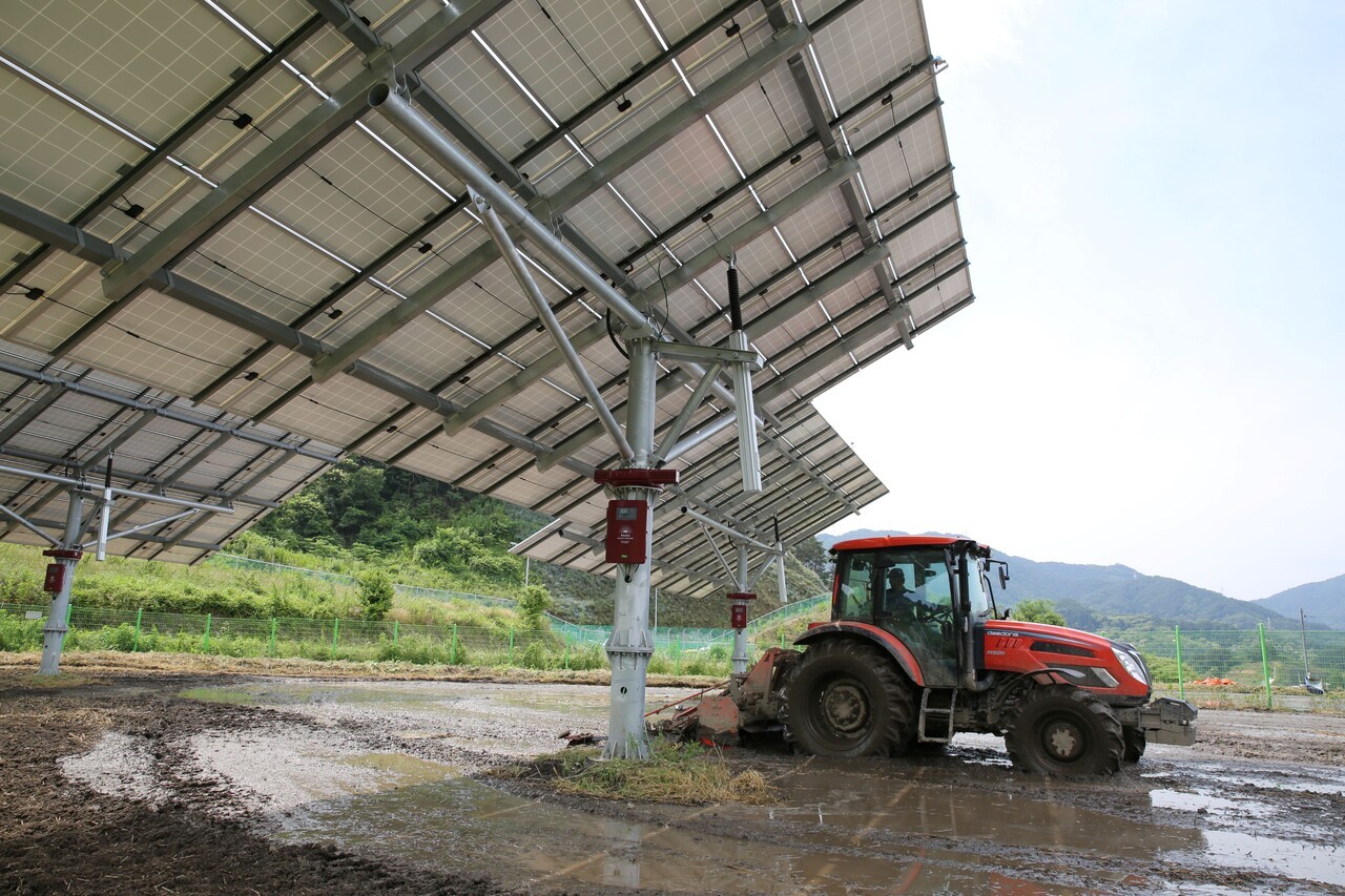 재생에너지 표본 '영농형 태양광' (사진=파루솔라)
