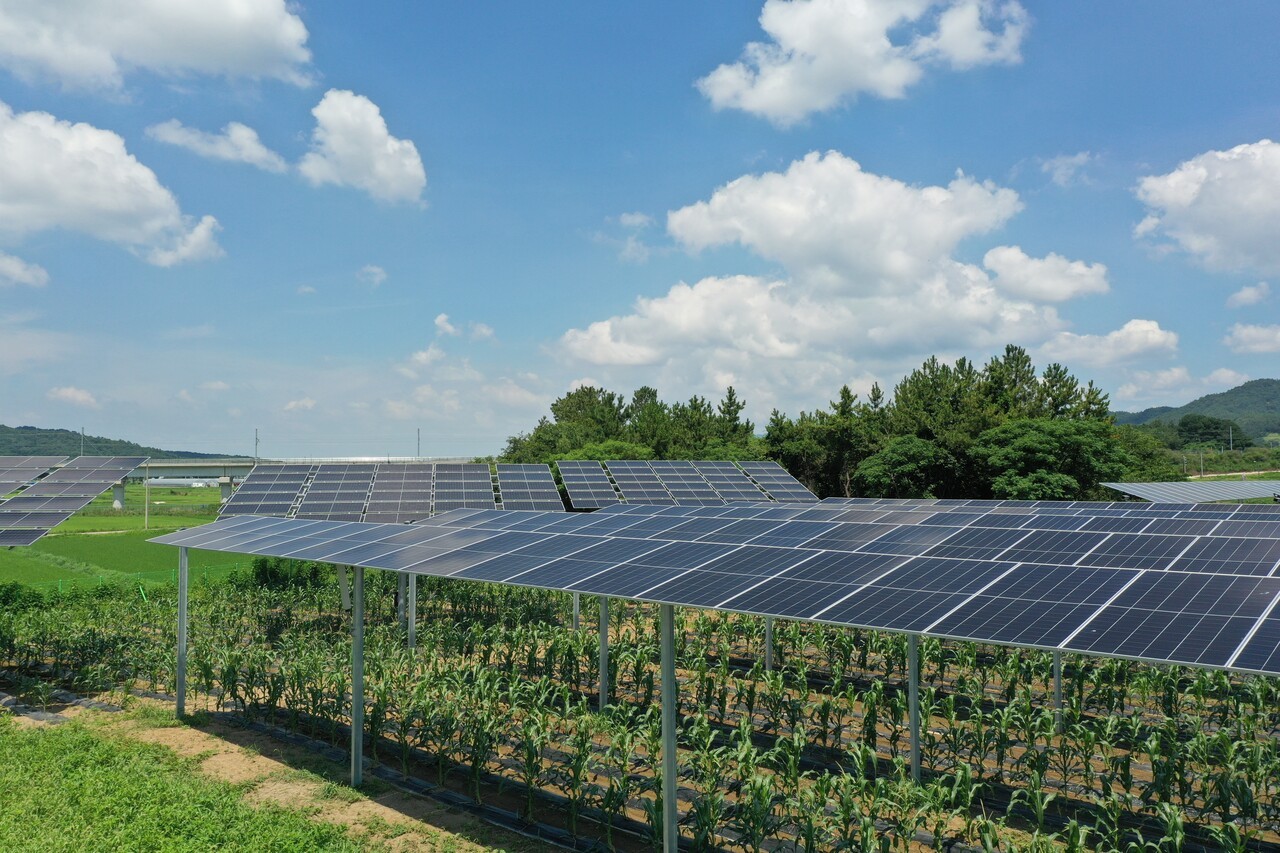 영암 영농형태양광 테스트 베드 (사진=파루솔라)