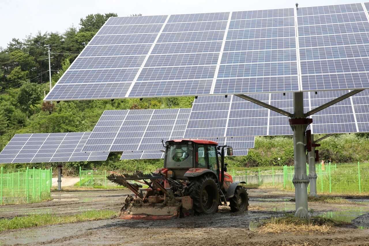 영농형 태양광 설비가 설치된 농지에서 트랙터가 경작을 진행하고 있다. 태양광 발전과 농업을 동시에 수행할 수 있는 시스템으로, 농가소득 다변화와 에너지전환의 상징적 모델로 평가받는다. (사진=파루솔라 제공)