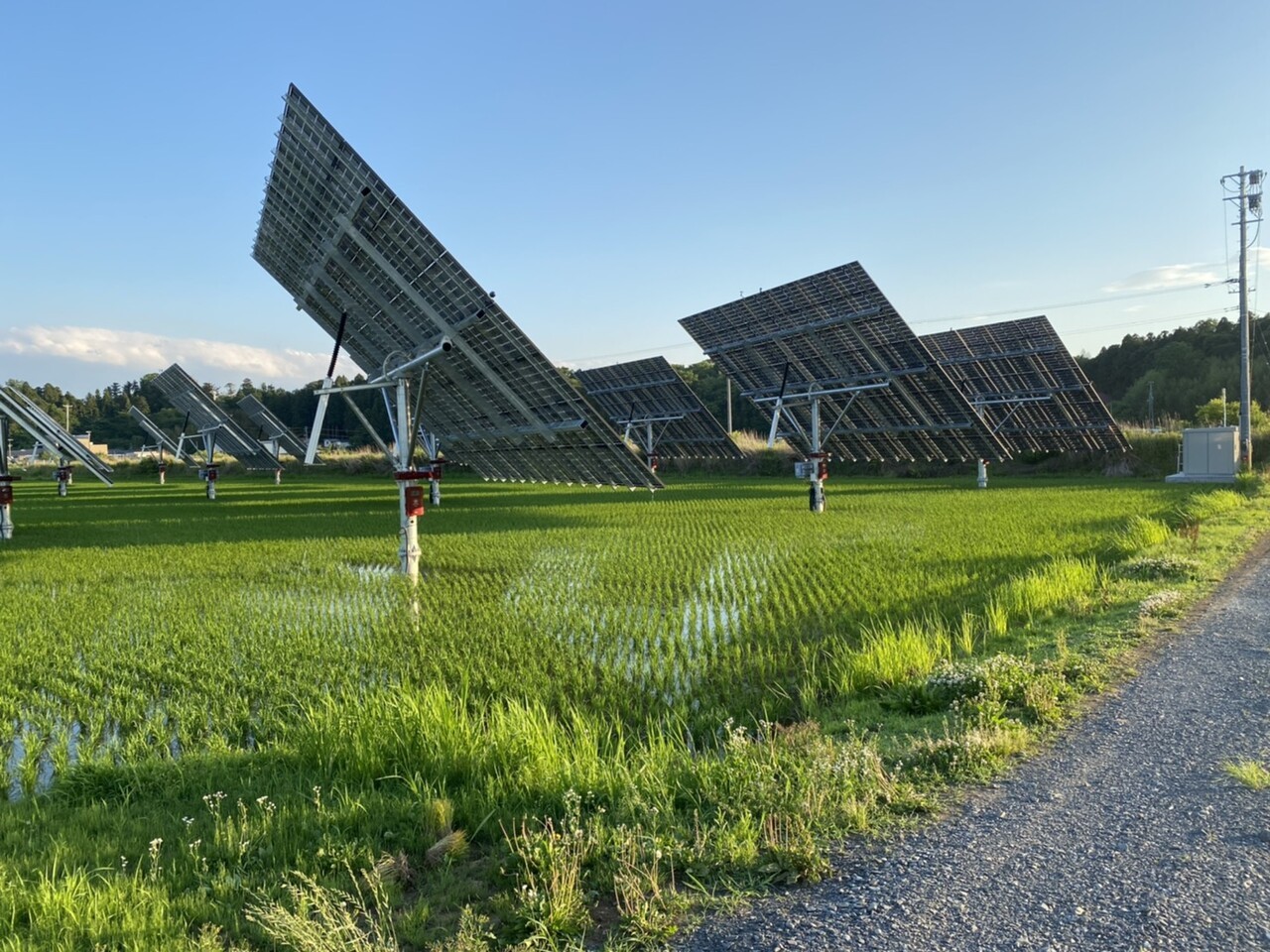 농촌 지역 논 위에 설치된 태양광 발전 설비가 햇빛을 받으며 가동되고 있다. 마을 단위 재생에너지 생산 기반을 확충하기 위해 추진되는 농촌형 태양광 시설의 한 사례로, 기사에서 언급한 '에너지 자립마을' 조성과 농축산 분야 재생에너지 활용 흐름을 시각적으로 보여준다. (사진=파루솔라)