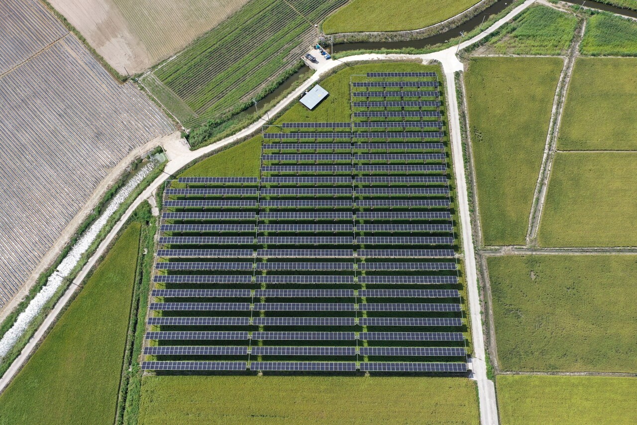 전남 영암군 월평 마을 일대에 조성된 대규모 영농형 태양광 단지 모습. 주민참여형 재생에너지 사업을 통해 생산된 전력은 기업 RE100 대응과 지역 에너지 자립 기반 구축에 활용될 예정이다. (사진=파루솔라)