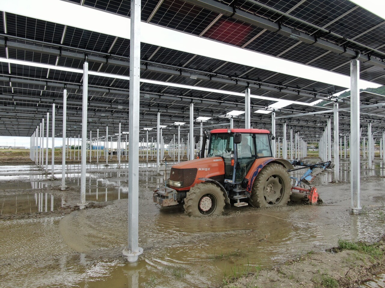 전남의 한 농지에 설치된 영농형 태양광 설비 아래로 트랙터가 농작업을 하고 있다. 태양광 모듈이 일정 높이로 설치돼 농사와 발전을 병행할 수 있으며, 전남 지역에서는 ㈜파루솔라 등 지역 기업을 중심으로 영농형 태양광 사업이 활발히 추진되고 있다. (사진=파루솔라)