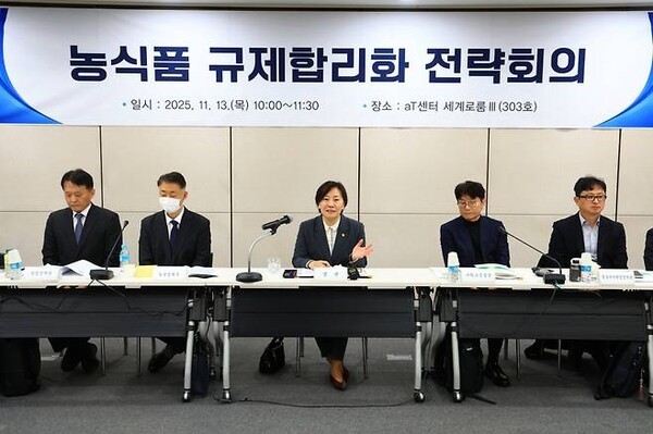 농림축산식품부는 13일 한국농수산식품유통공사(aT) 센터에서 송미령 농식품부 장관 주재로 '제2차 농식품규제 합리화 전략회의'를 개최했다고 밝혔다. (사진=농림축산식품부)