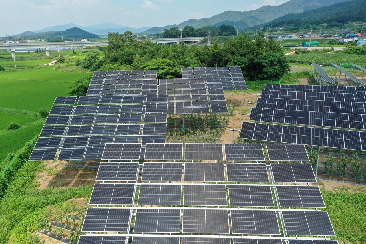 농업 생산과 전력 생산을 동시에 수행하는 영농형 태양광 시설. 정부의 제12차 전력수급기본계획에서 재생에너지 비중 확대가 예상되는 가운데, 태양광 입지 확보 문제를 완화하고 농가의 수익 구조를 다변화할 수 있는 현실적 대안으로 주목받고 있다. (사진=파루솔라)