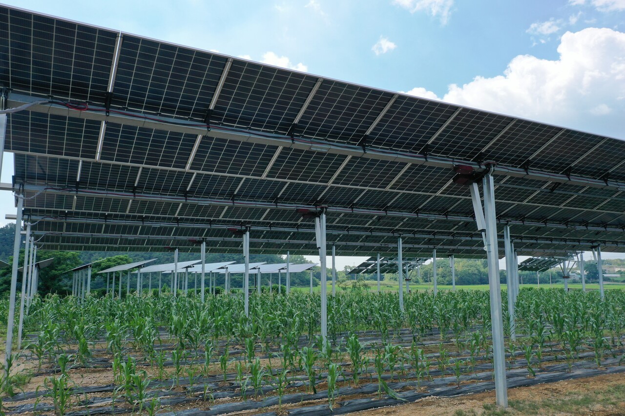 전력망 확충과 재생에너지 확대가 필요한 상황에서, 영농형 태양광 등 지역 기반 재생에너지 시설이 수용성 문제로 난관을 겪고 있다. (사진=파루솔라)