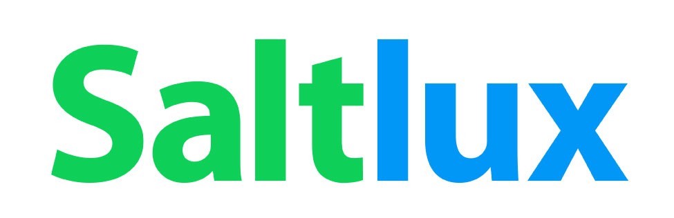 [게시판] 솔트룩스, 주주 대상 ‘구버’ 1년 무료 체험 제공 등 단신