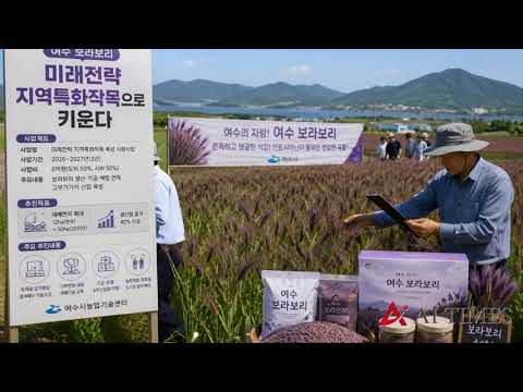 여수, '보라보리' 특화작목 육성…2027년까지 6억 투입