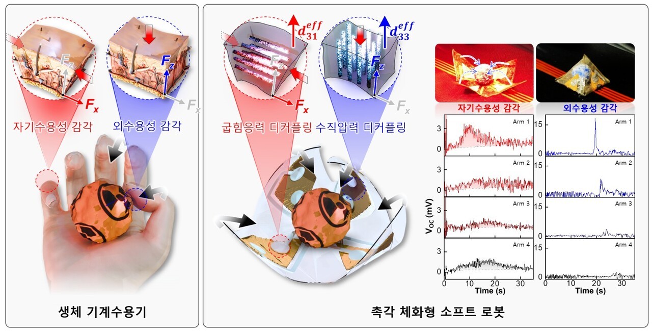 GIST, 사람 피부처럼 촉각 구분하는 로봇 소재 개발