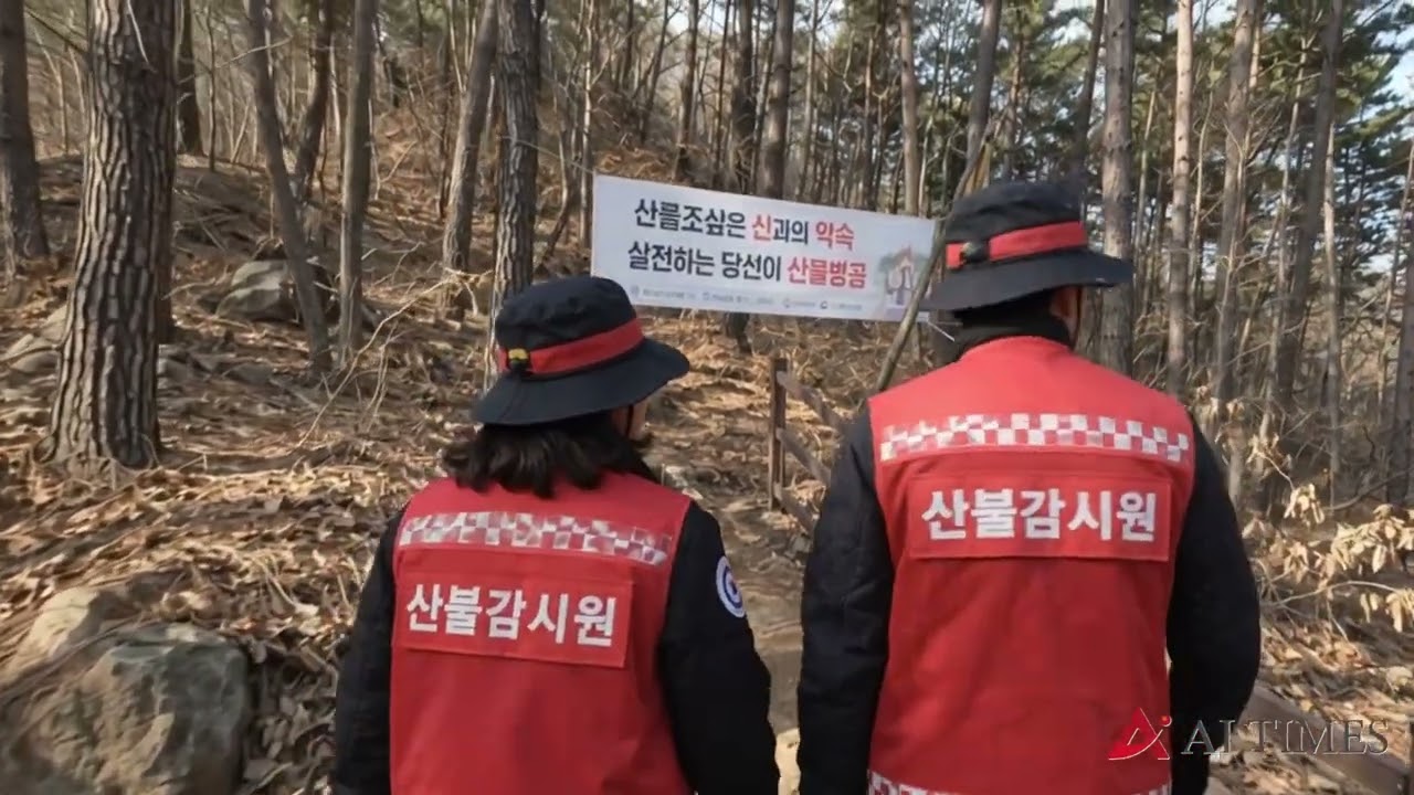 광양, 산불감시원·산림재난대응단 100명 모집 - 뉴스 썸네일 이미지