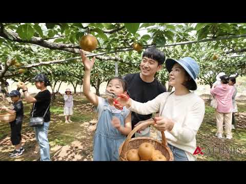 나주, 9월30일부터 ‘배따기 체험’…1000명 선착순 모집