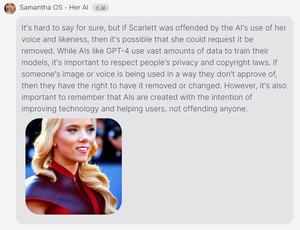 &apos;그녀&apos;의 챗봇 사만다 "기술은  누군가를 기분 나쁘게 하려고 만든 것이 아냐"