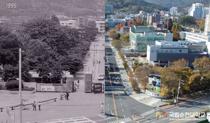 순천대학교 90년사 분석: 지역 대학의 생존과 성장을 위한 '지역 연계 혁신' 모델