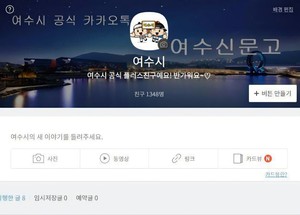 지자체 디지털 광고 집행의 투명성 부족: '여수늬우스' 사례 분석