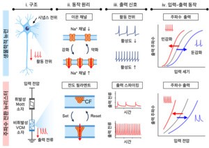 KAIST, 기존 신경망 대비 에너지 소모 27.7% 절감하는 반도체 뉴런 개발
