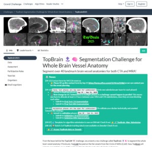 KAIST, MICCAI 뇌 혈관 챌린지에서 MRI·CT 부문 1등상 수상