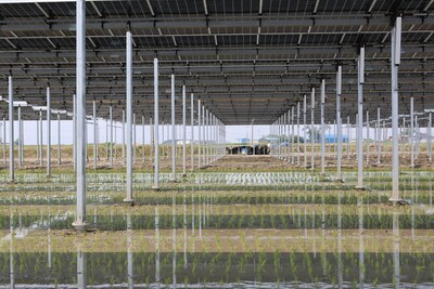 정부, 영농형 태양광 전략 재정비