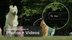 메타, 이미지·영상에서 객체 분리하는 ‘SAM 3’ 출시